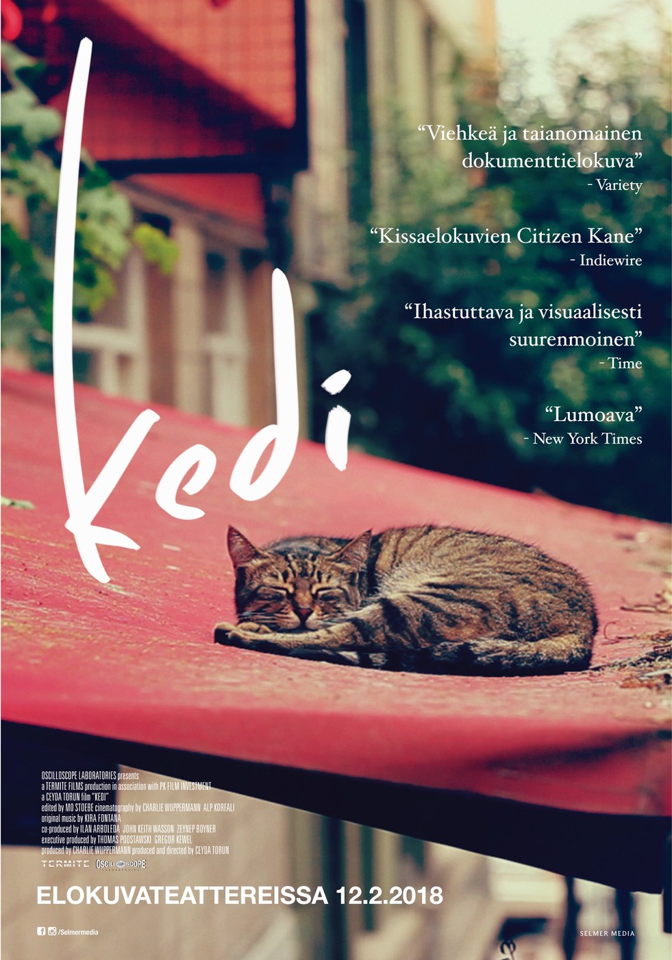 Kedi